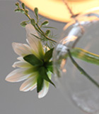 Hangend bolvaasje sfeer bloemen
